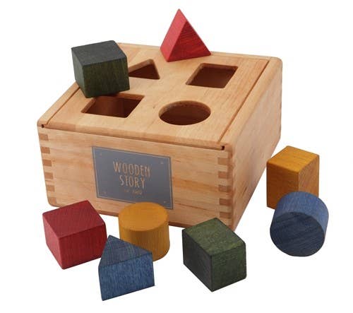 Montessori Shape Sorter Box